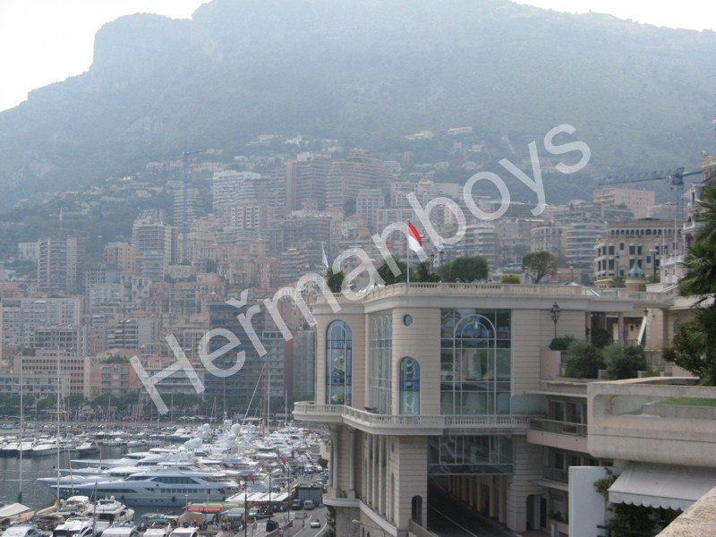 Monte_Carlo_2